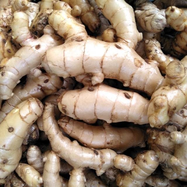 

Promo Kunyit putih segar 1kg (temu putih/curcuma zedoaria) COD A.L_96