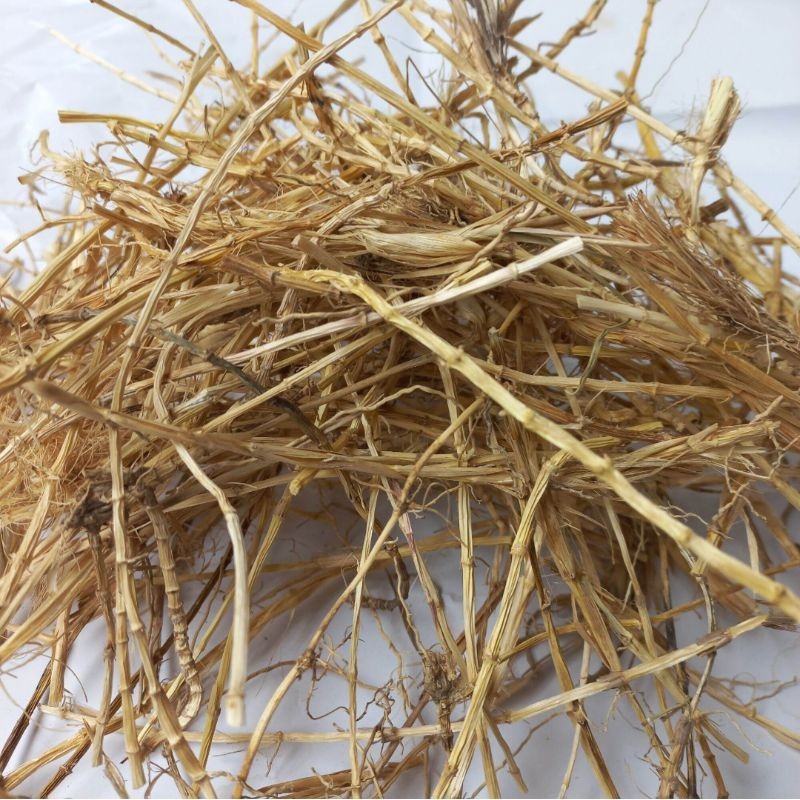 

MURAH Akar Alang Alang Kering 100gr