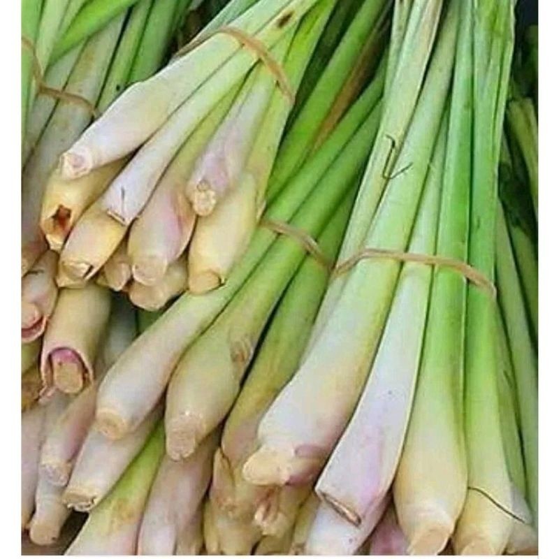 

[COD] sereh/serai 1 iket berat 250gr