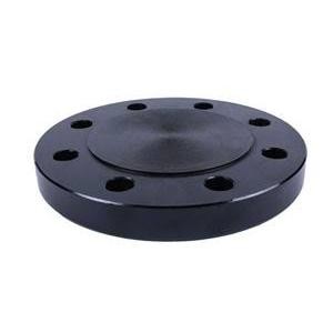 Blind Flange Besi 12" Inch Ansi 300 - Flange Buta CS DN300 #300