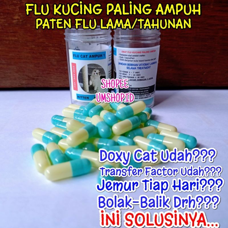 Flu Cat Obat Paten Flu Kucing Ampuh Pilek Bersin bersin Inggusan Virus Bakteri Kucing