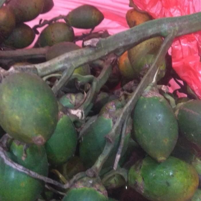

Ready stok buah pinang ceming Ready stok Buah pinang muda segar(perbiji)