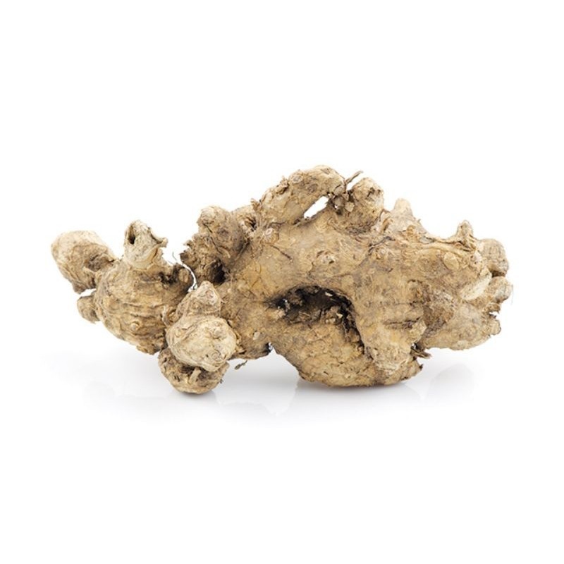 

Ready stok Lempuyang Segar 1Kg fresh