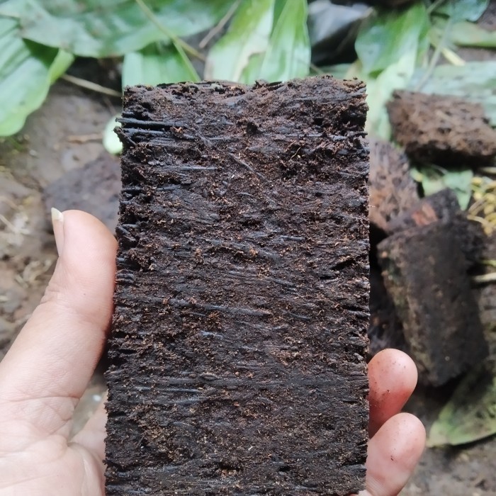 

Ready stok New media tanam papan pakis ukuran 10x5cm,+ cantelan,siap pakai