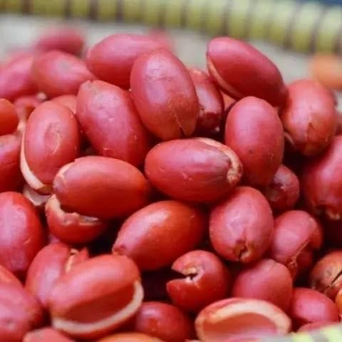 

KULIT MELINJO 500 GRAM - VIP SAYUR