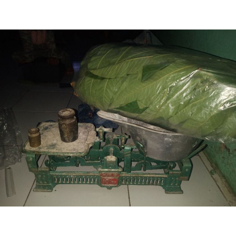 

AZ DAUN SUNGKAI 500 gram HERBAl covid 19