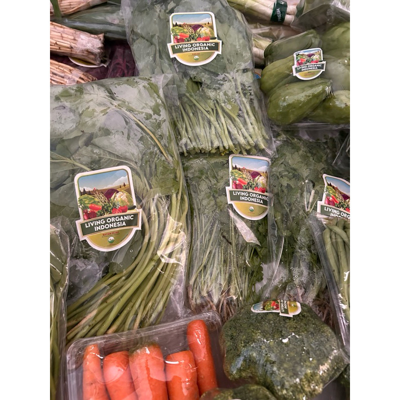 

Sayur Organik