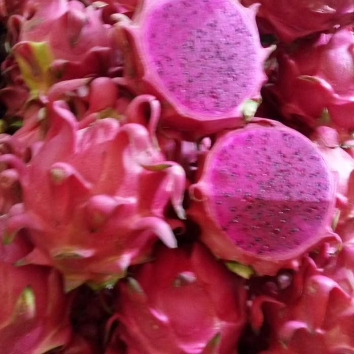 

Buah Naga Fresh Baru 1 kg