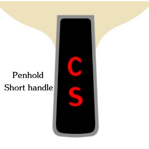 DHS PG7 PG 7 PG-7 Table Tennis PingPong Blade with DHS Tinarc5 rubbers Non-tacky Professional CO