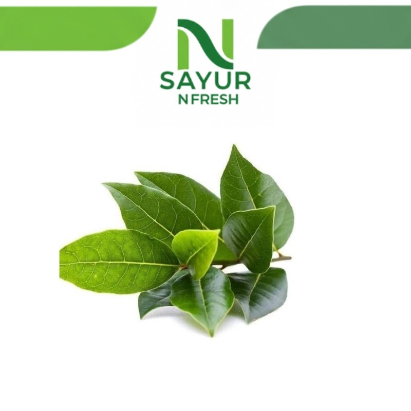 

DAUN SALAM