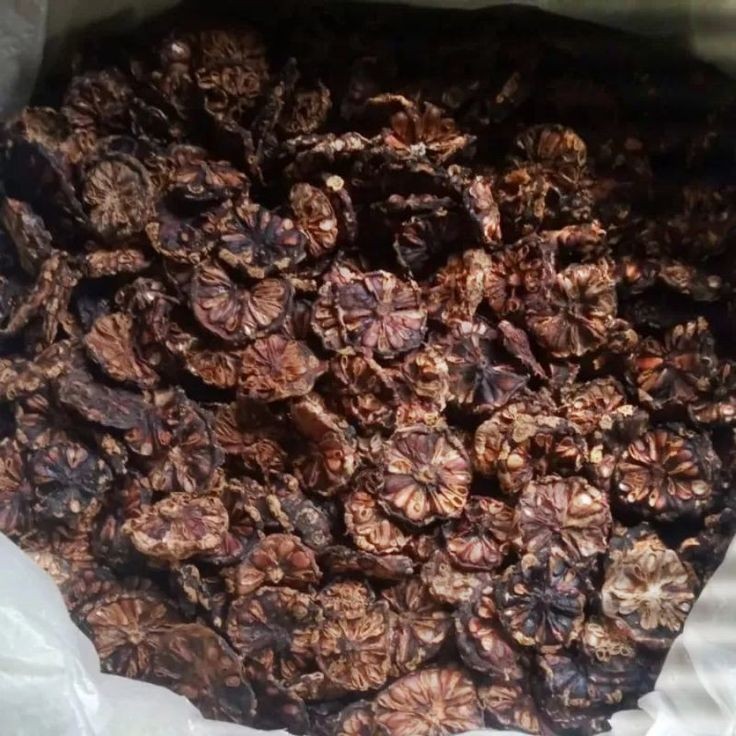 

MURAH Pace Kering 1kg / Mengkudu Kering Ori Kualitas Bagus