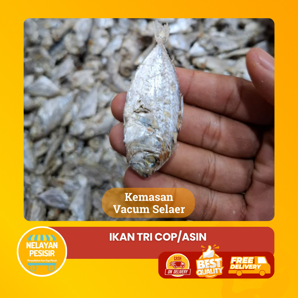 

Ikan Asin Teri Cop Rasa Kuat dan Gurih Khas Cocok untuk Tumisan atau Nasi Goreng
