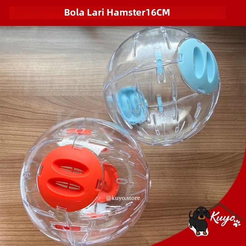 Hamster Running Ball 16cm - Mainan Bola Lari Besar Transparan Bening Hewan Hamster Crystal Clear Pre