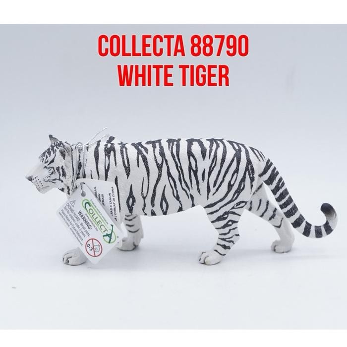 Collecta 88790 White Tiger Harimau Bengal Siberia Putih  Panthera tigris tigris Mainan Binatang Mini
