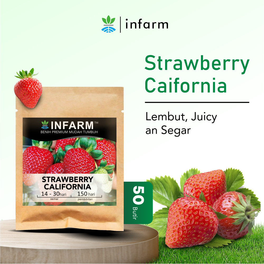 INFARM - Bibit Strawberry California 50 Butir Benih Buah Strawberry Merah Besar Manis Segar Biji Str