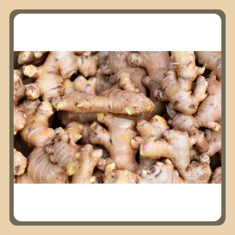 

Jahe Emprit/Kecil Bersih Kualitas Super 5Kg