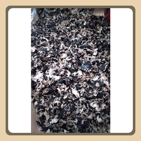 

jamur kuping kering 1,>kg/1020 gr Bagus