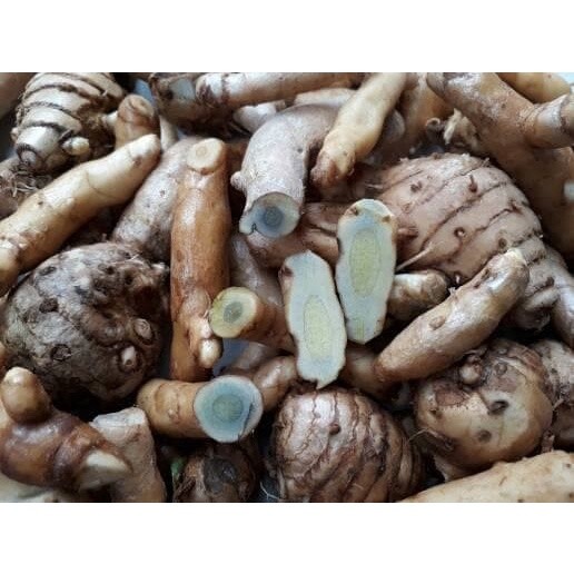 

Baru 1kg kunyit hitam segar/temu ireng/temu hitam/kunyit hitam COD Ml plant