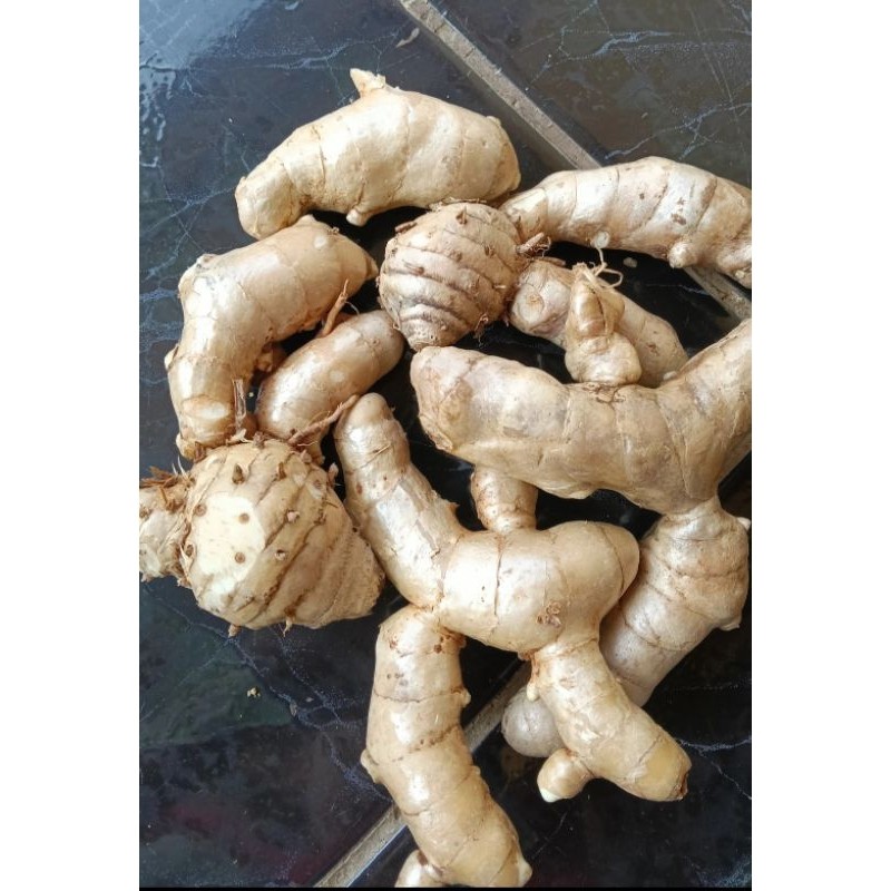 

Kunyit putih segar Alami . Organik herbal Asli , Herbal Alami 1000 grm