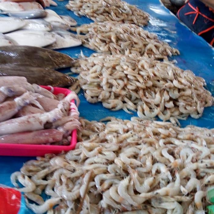 

Udang Laut Kecil 1 kg