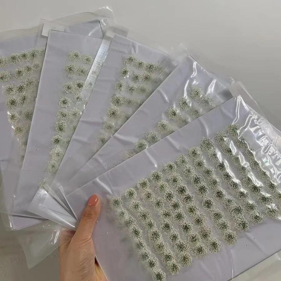 

250X Pressed Dried Natural White Ammi Majus Flowers Plant Herbarium For Jewelry Postcard Invitation Card Phone Case Bookmark DIY