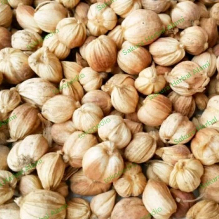 

promo Promo kapulaga kering 500gram kualitas super ready