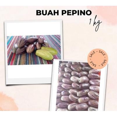

Buah Pepino atau Buah Put organik Premium fresh 1 Kg