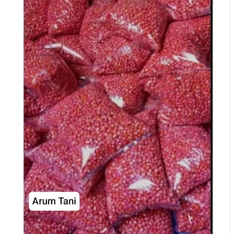 

READY!! BENIH JAGUNG SIAP TANAM, SUMO, PERKASA, P27, P21, 18,JAGO, 212,1KG (B.B.19)