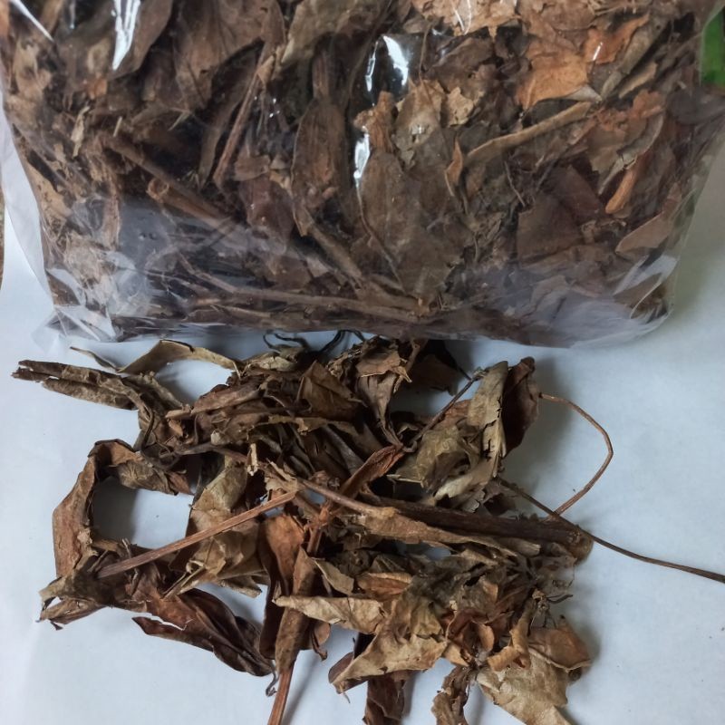 

MURAH Daun Sirih Kering 100gr