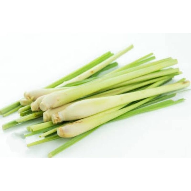 

Sereh / Serai Segar Per 500 Gram terlaris