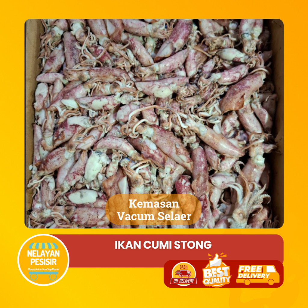 

Cumi Asin Kering Super Siap Masak Kualitas Premium Tahan Lama Dan Halal