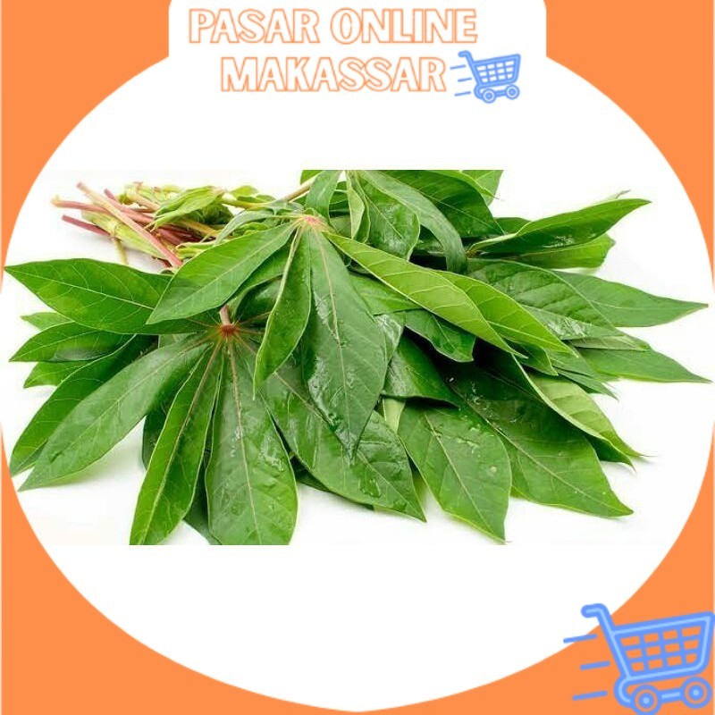 

Daun Singkong / Daun Ubi per Ikat