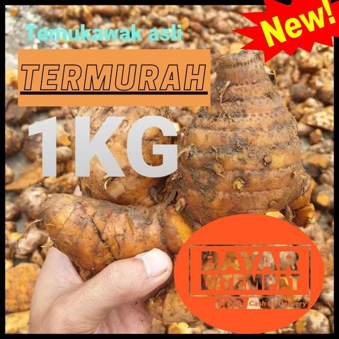 

Promo Cuci Gudang Temulawak Segar Temu Lawak Asli Dari Hutan ready