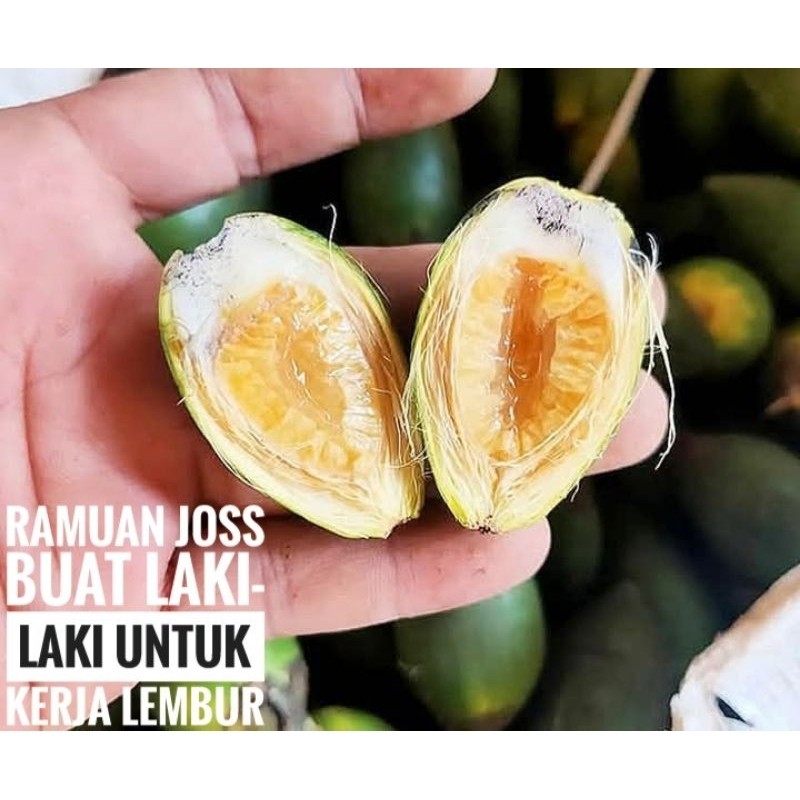 

Pinang Muda / Jambe Muda Kualitas Terbaik, 500 Gram
