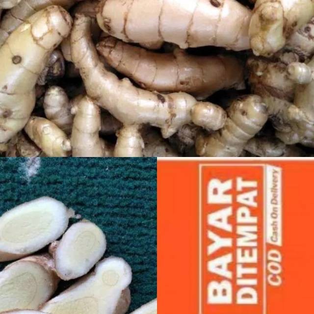 

KUNYUT PUTIH / TEMU KUNIR / TEMU PUTIH segar (curcuma zedoaria) 500gram