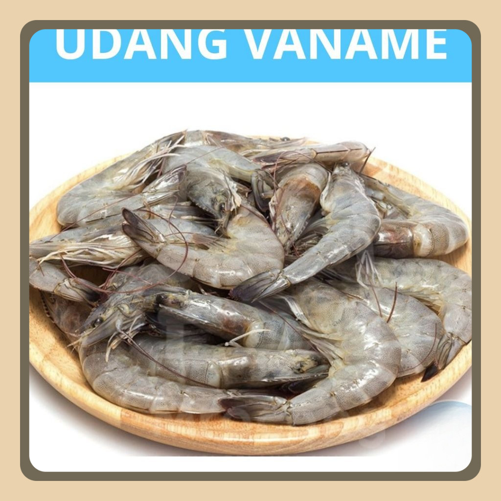 

Udang Vaname BESAR 500gr | Ikan Semarang | Udang Semarang | Ikan Segar Semarang | Belanja Ikan Semarang