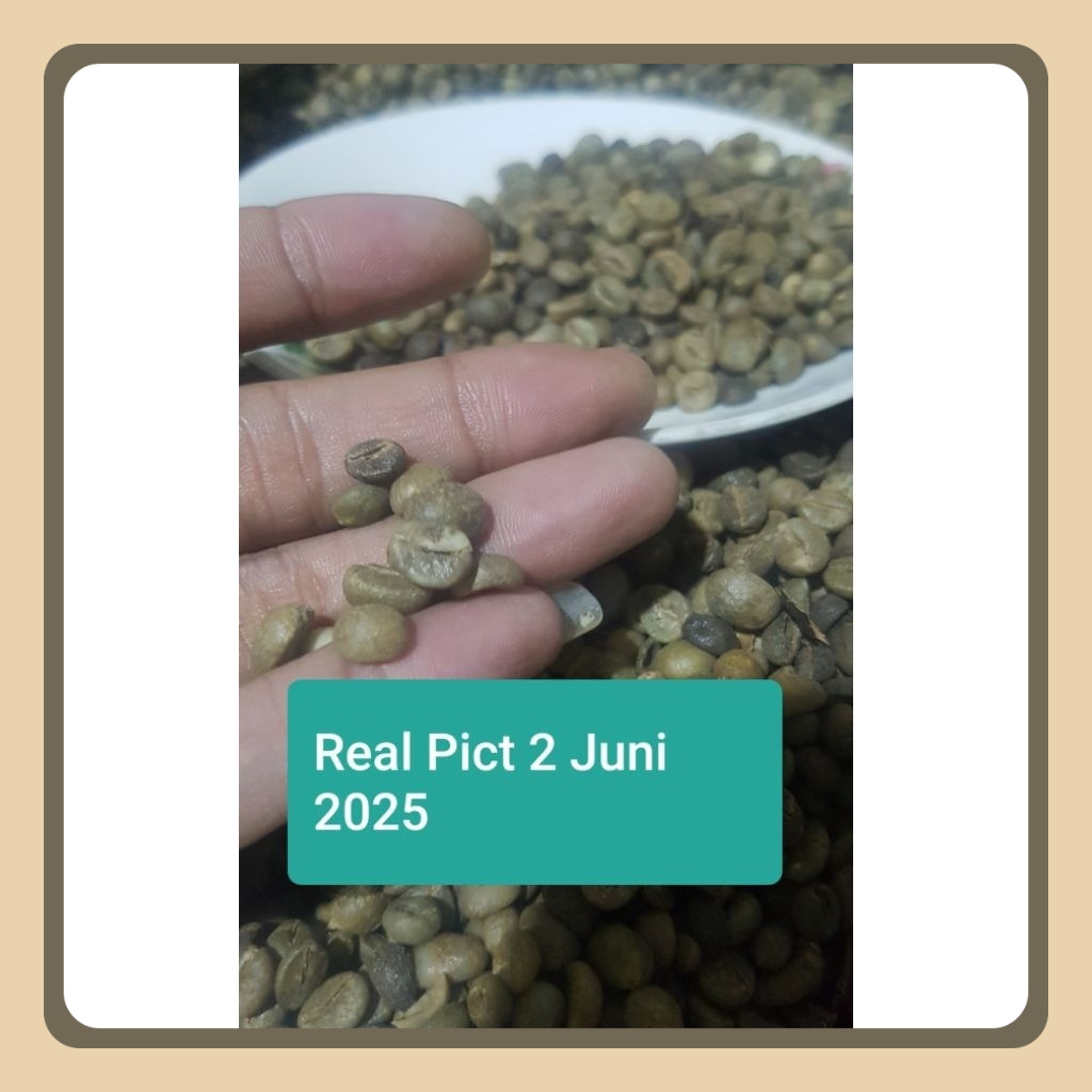 

Green Bean Robusta Purbalingga 1Kg [Kaki Gunung Slamet] Update Real Pict Stok