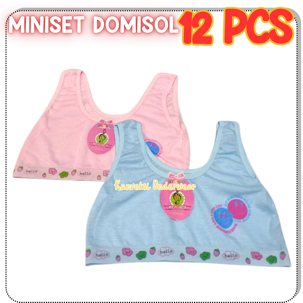 PAKET HEMAT 1 LUSIN Bra Mini Remaja Miniset Anak SD SMP Katun Lucu