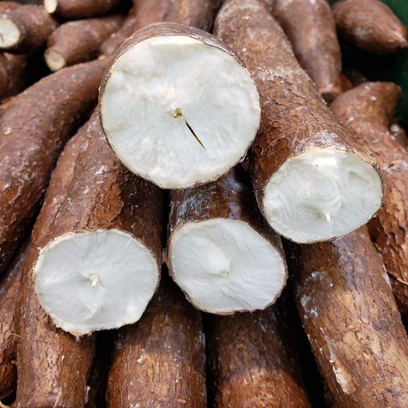 

singkong