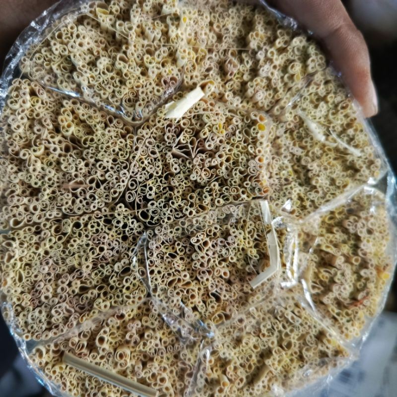 

Herbal Daun Nipah 1 Ball Berat