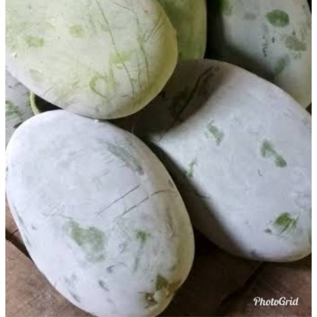 

Winter melon bligo kundur