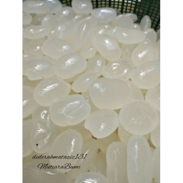 

PROMO SEGAR kolang kaling super segar 1kg, bisa grosir ready