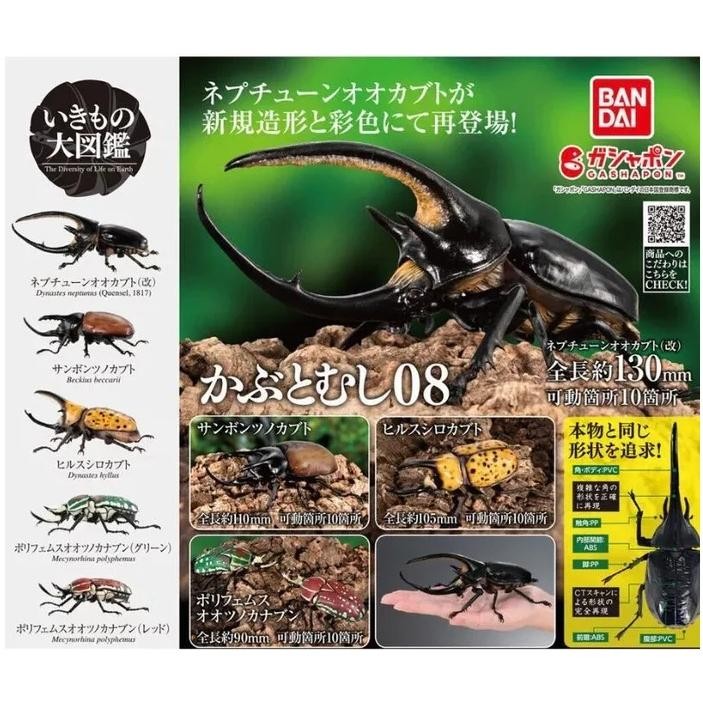 Gashapon BANDAI Ikimono Encyclopedia Beetle 08 Figure