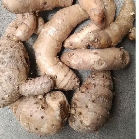 

''Kunyit putih temu putih 1000 gram. obat kangker alami,,,