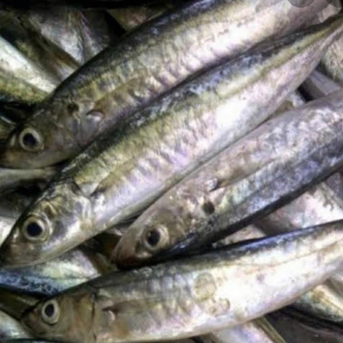 

Ikan Kembung Layang 1 kg