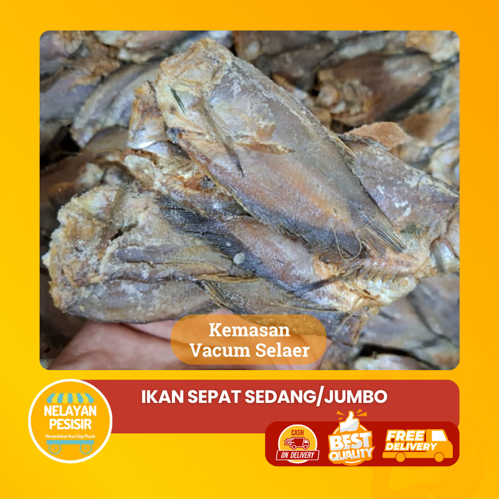 

Ikan Asin Sepat Siam Sedang Dan Besar Kualitas Premium Kering Bersih