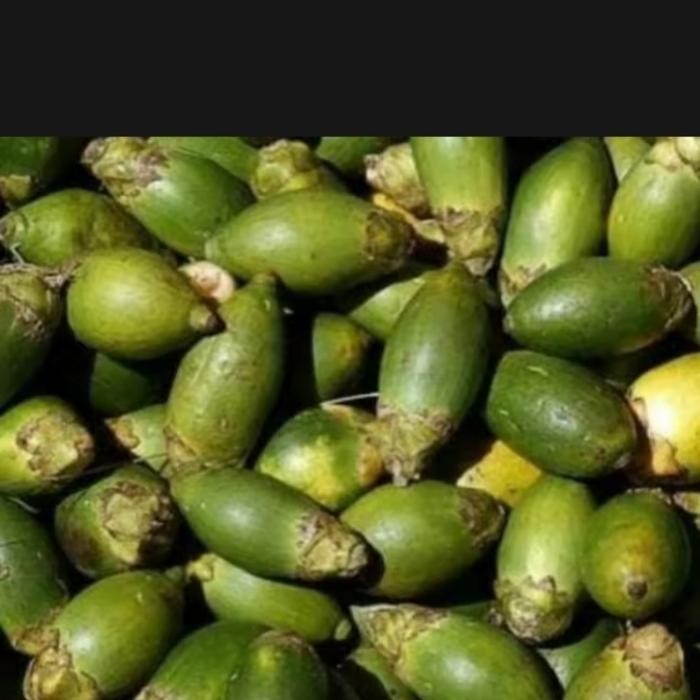 

Ready stok buah pinang ceming buah pinang muda segar 1kg
