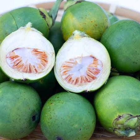 

Ready stok buah pinang ceming Buah Pinang/Jambe Muda Mentah Asli Paket 1 Kg - 500g