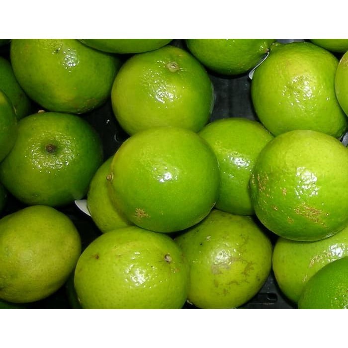 

Jeruk Nipis 250gr Segar Bandung