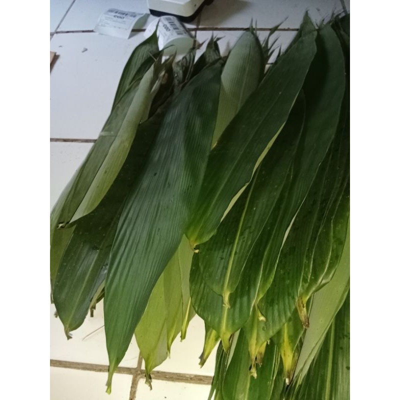 

new.. terbaik daun bambu bungkus bakcang super jumbo 100 lembar